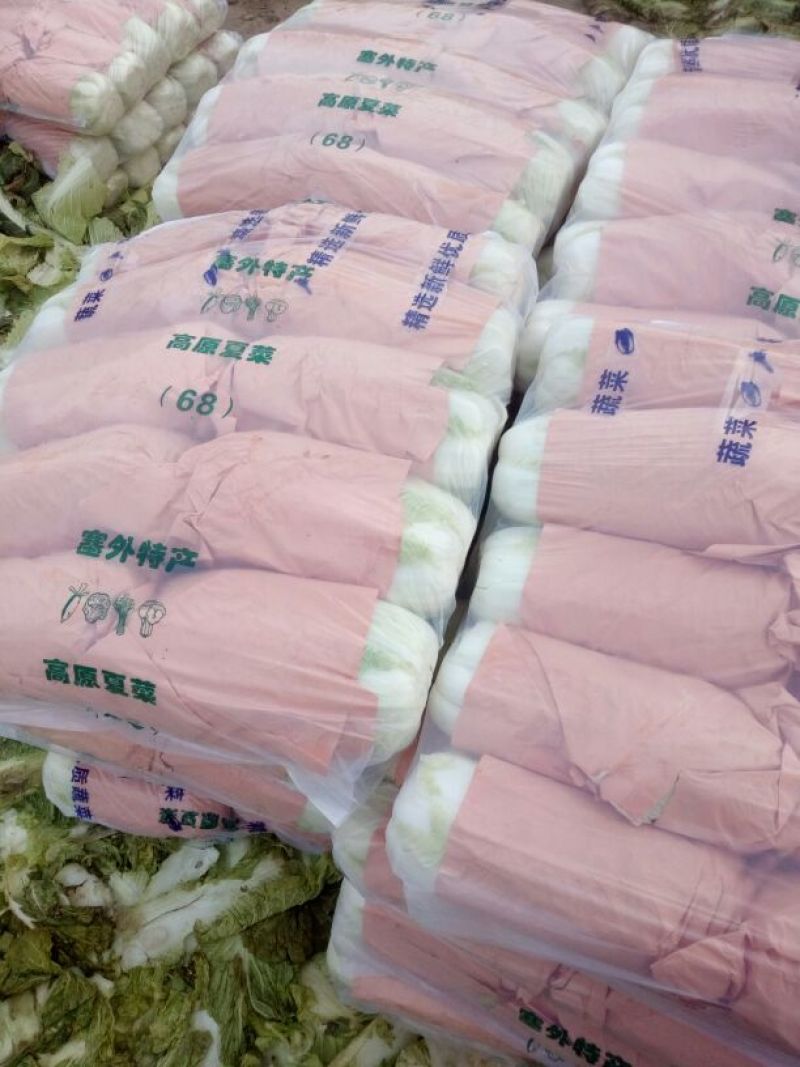 北京三号白菜，欢迎采购