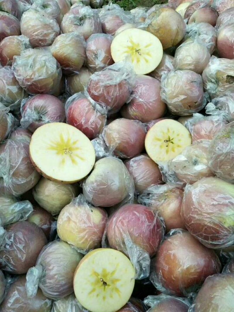 精品膜袋红富士苹果，货源充足，质量杠杠的