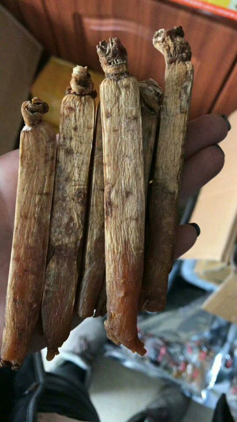 【特别推荐】各种规格长白山精品无糖高丽红参，