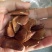 向天果籽粒饱满白仁干货2斤起包邮
