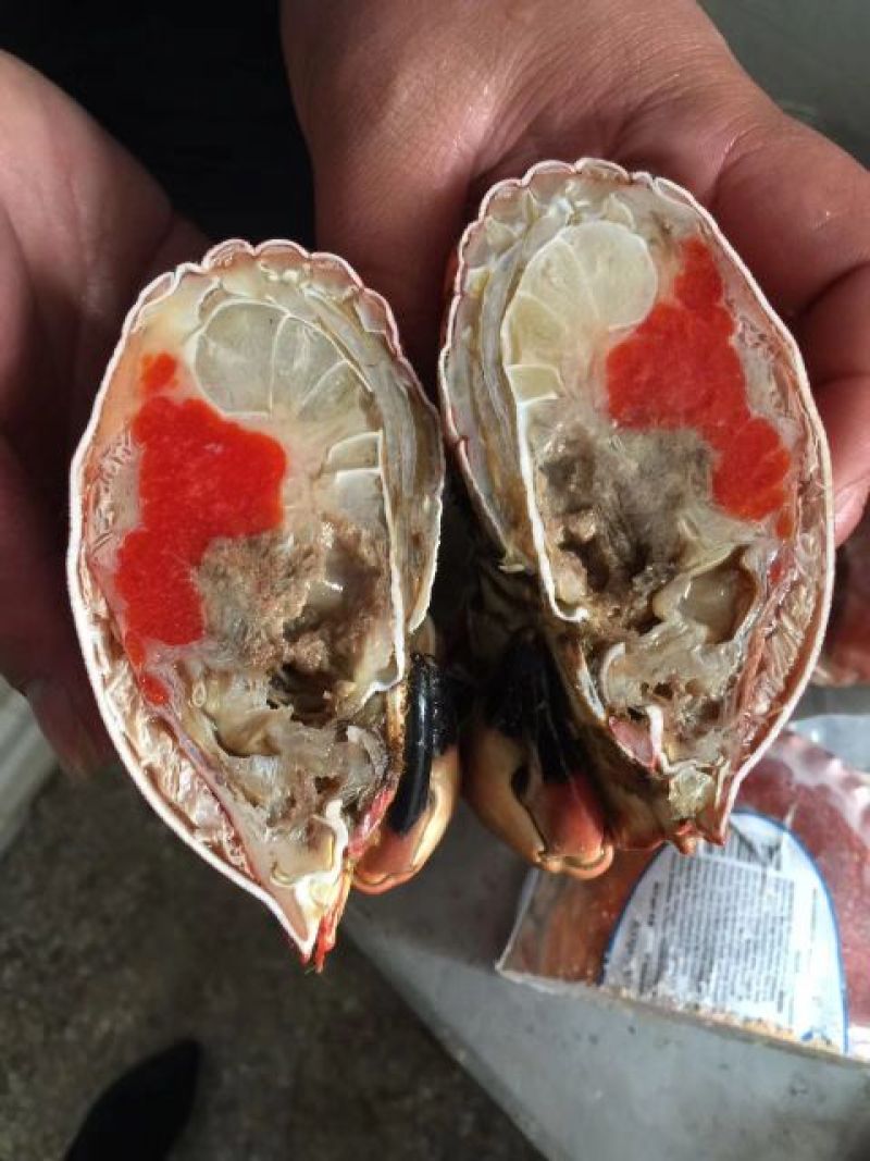 面包蟹食用