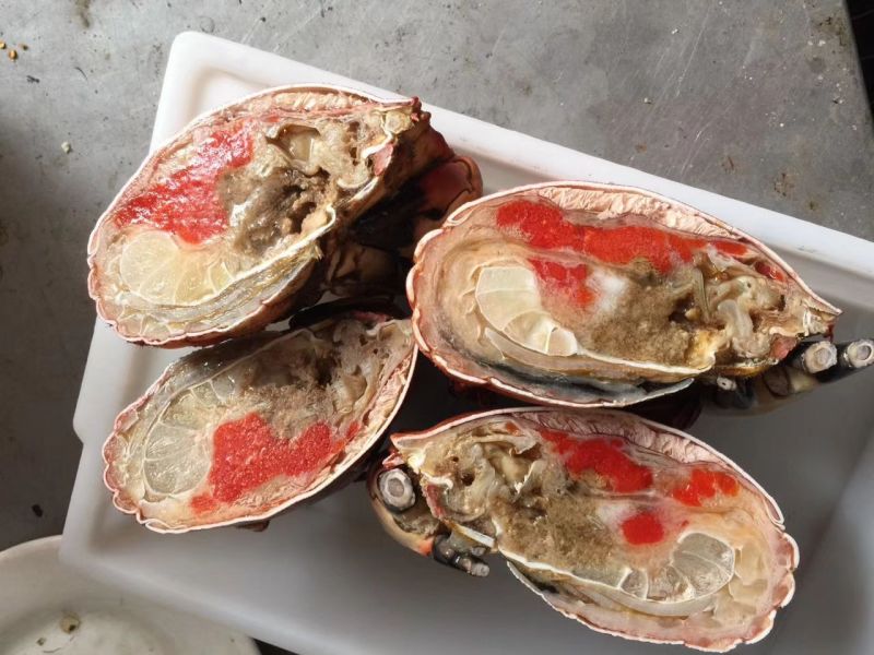 面包蟹食用