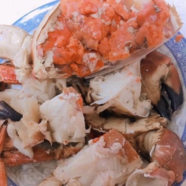 面包蟹食用