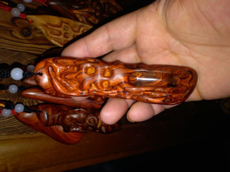 崖柏12~14cm0.5米以下