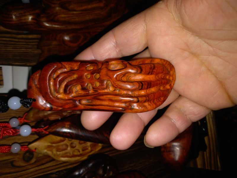 崖柏12~14cm0.5米以下