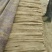 九斤黄山药4~6厘米一级通货50~70厘米