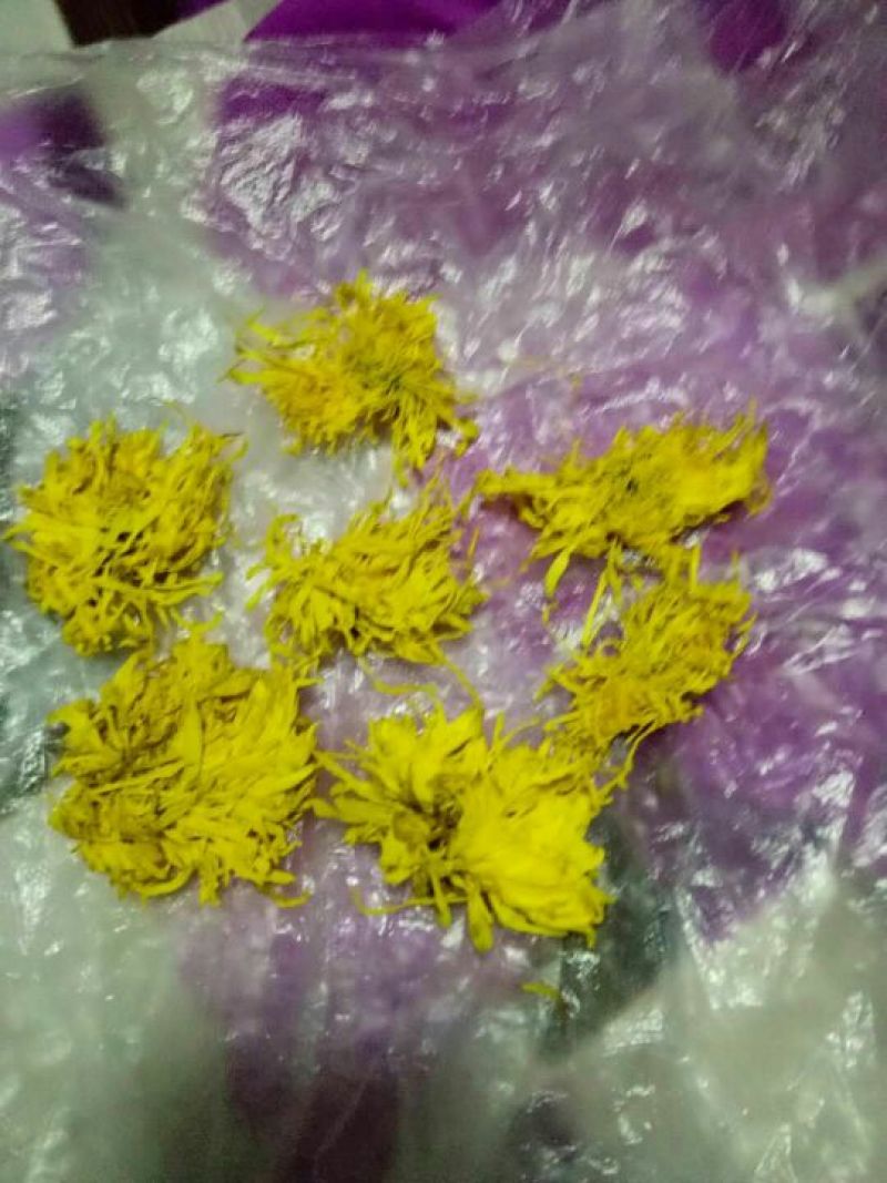 药用菊花袋装