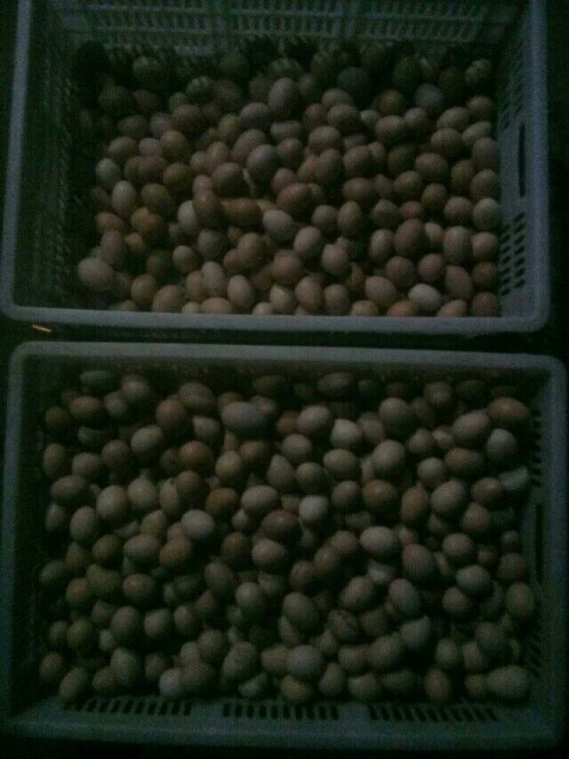 土鸡蛋食用40~50g