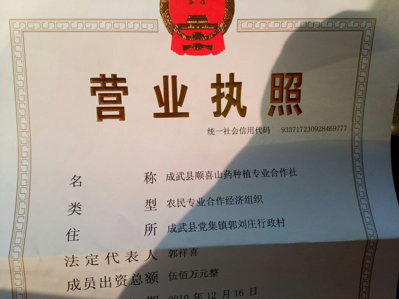 九斤黄山药4~6厘米一级通货70~90厘米