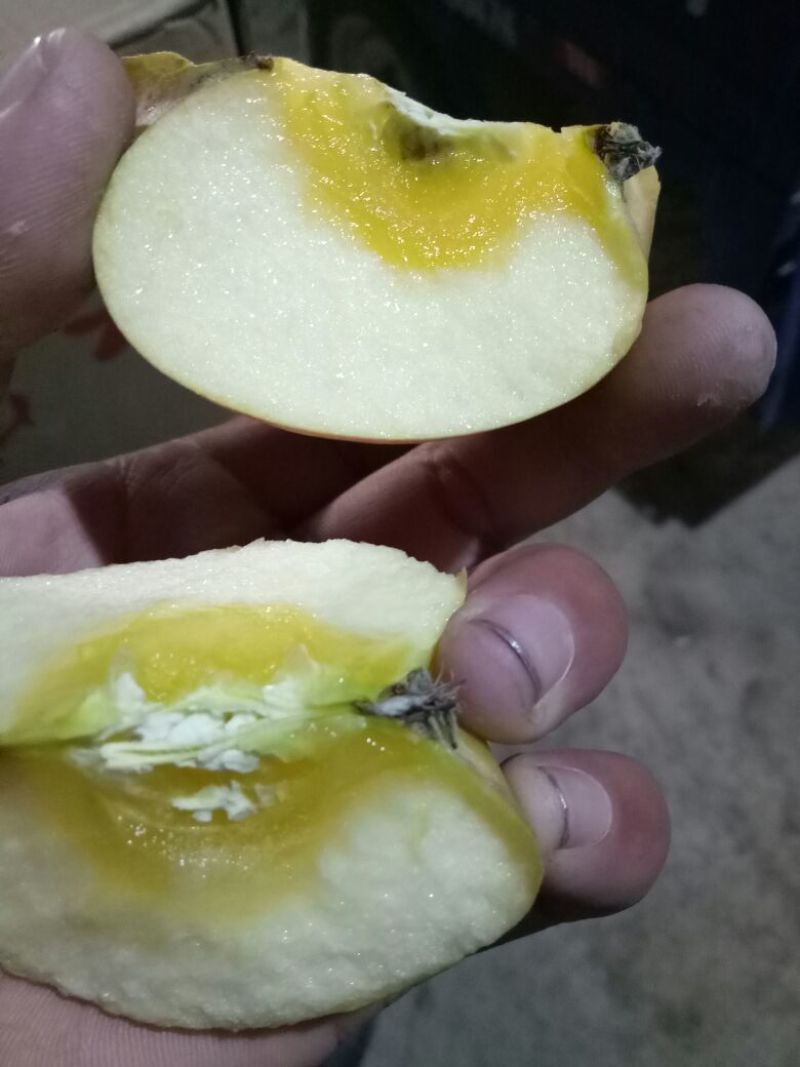 糖心红富士，75起步量大有货好（口感）欢迎来骚扰