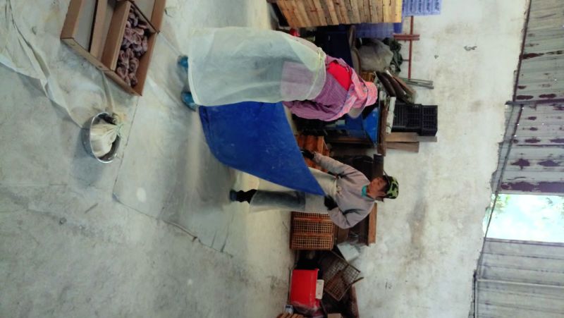 柿饼2~2.5两