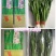 汉中韭王头茬