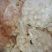 內脂豆腐湿豆腐