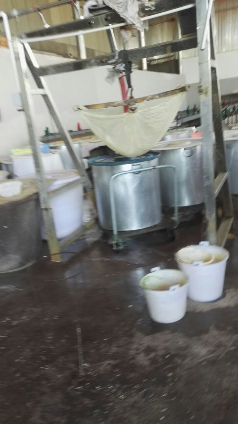 內脂豆腐湿豆腐
