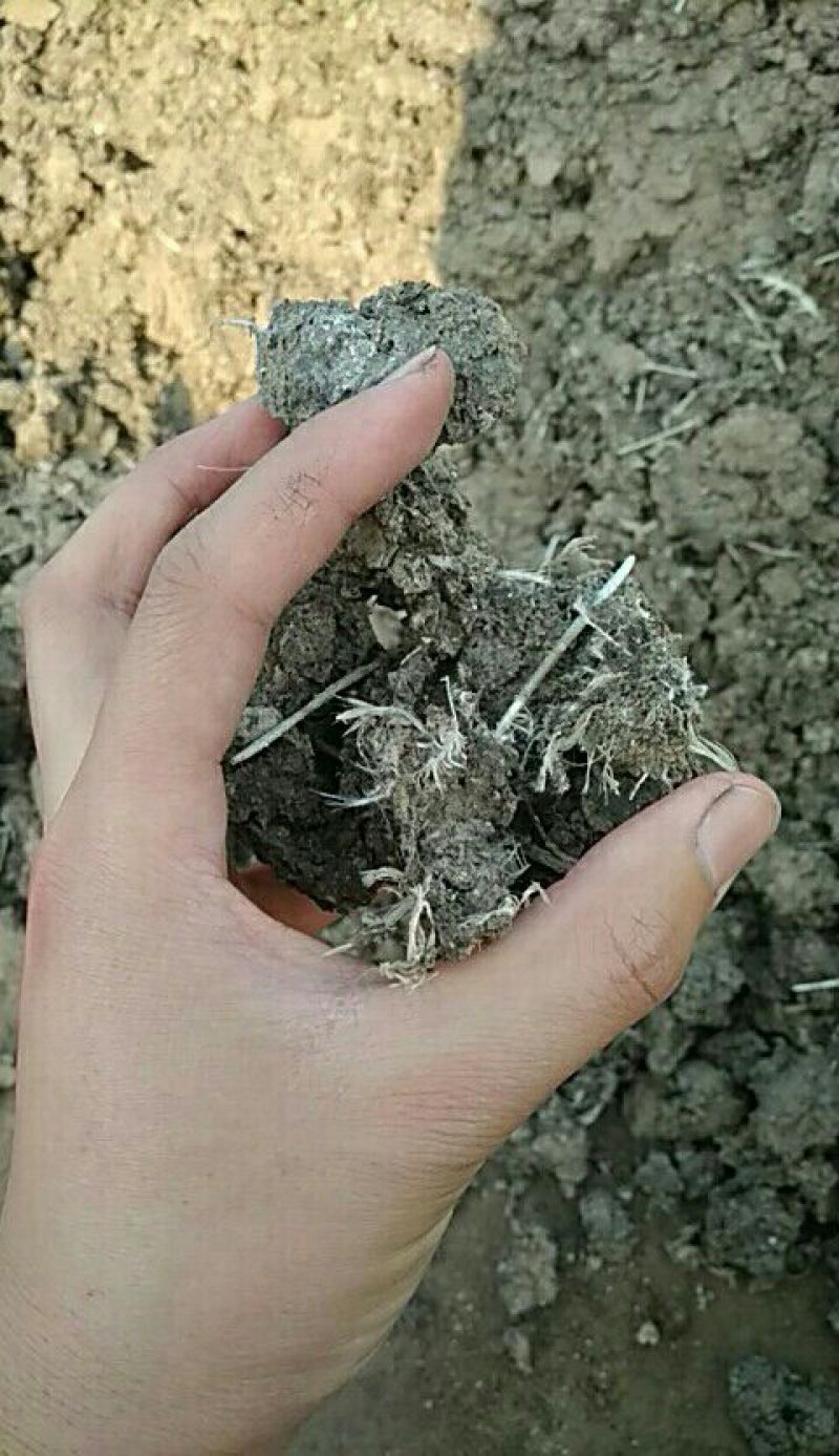 有机肥（全网厂家批发）（添加200亿复合菌）生根壮苗
