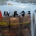 豆腐干豆腐