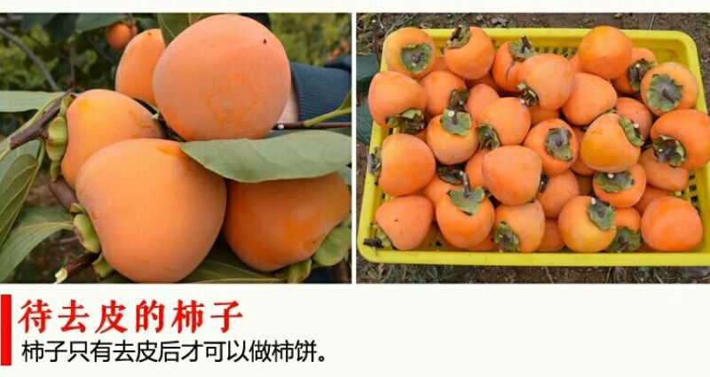 柿饼1两以下