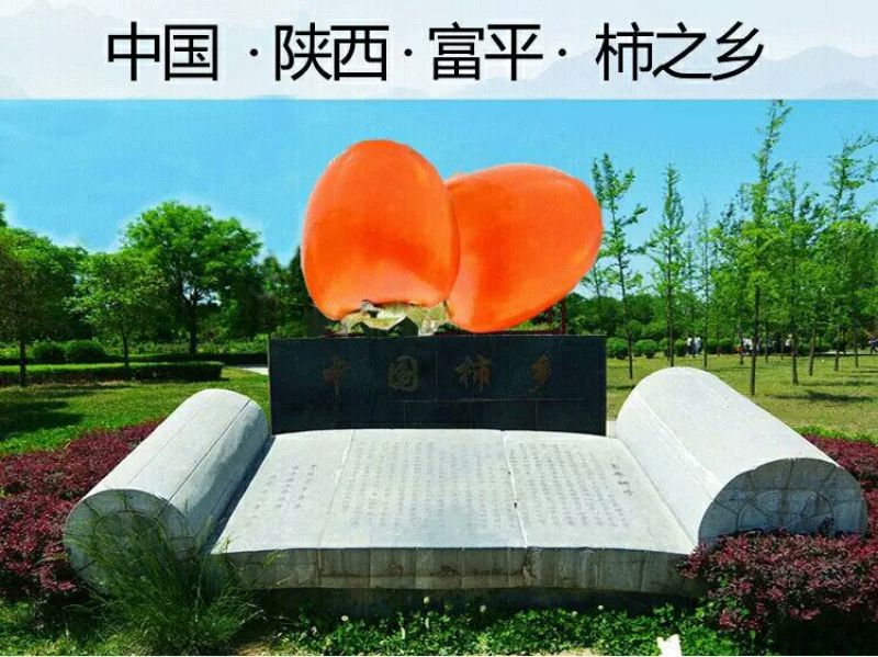 柿饼1两以下