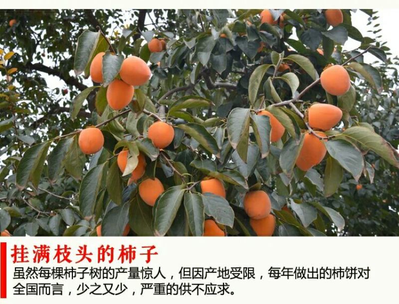 柿饼1两以下