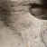 小叶桢楠1.5~2m