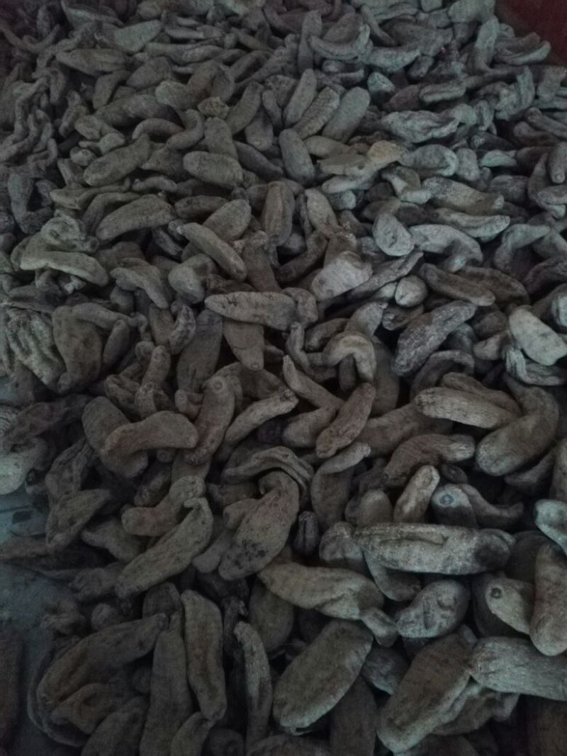 天麻一级