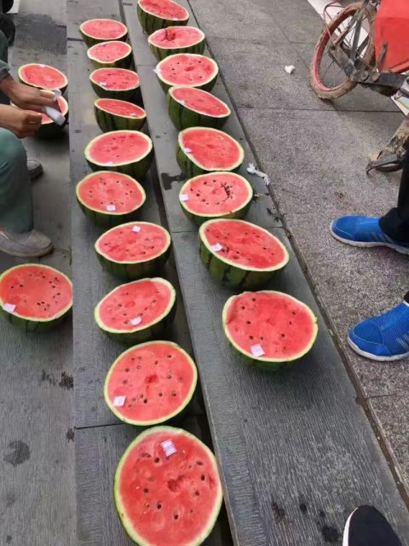 心里美西瓜种子全绿美都甜抗裂八成熟即大红瓤品质丰产