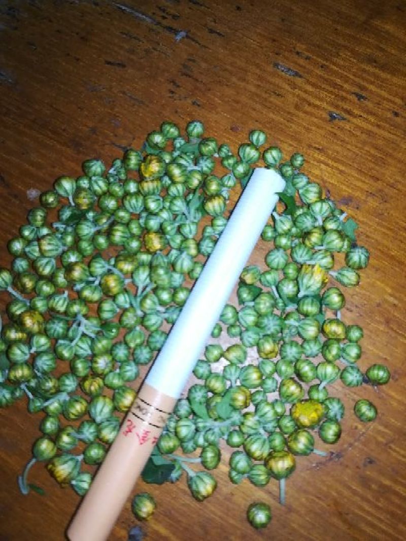 野菊花袋装