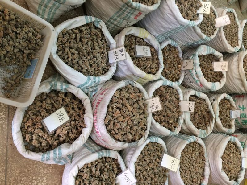 三七干货选货30头