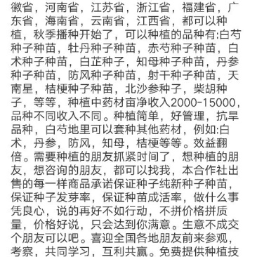 白术种苗10~20cm