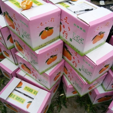 不知火柑桔7~7.5cm