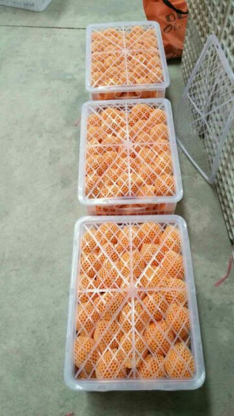 精品纽荷尔脐橙产地直发诚信经营保质保量欢迎咨询