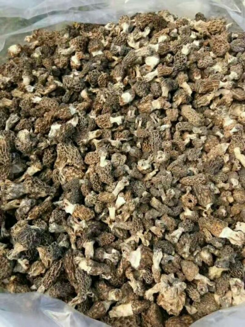 羊肚菌一级品