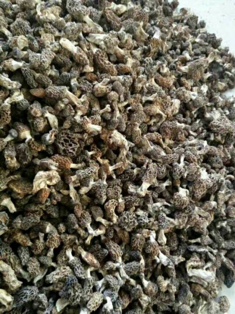 羊肚菌一级品