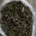 重楼苗（七叶一枝花）一年苗，苗好成活率高