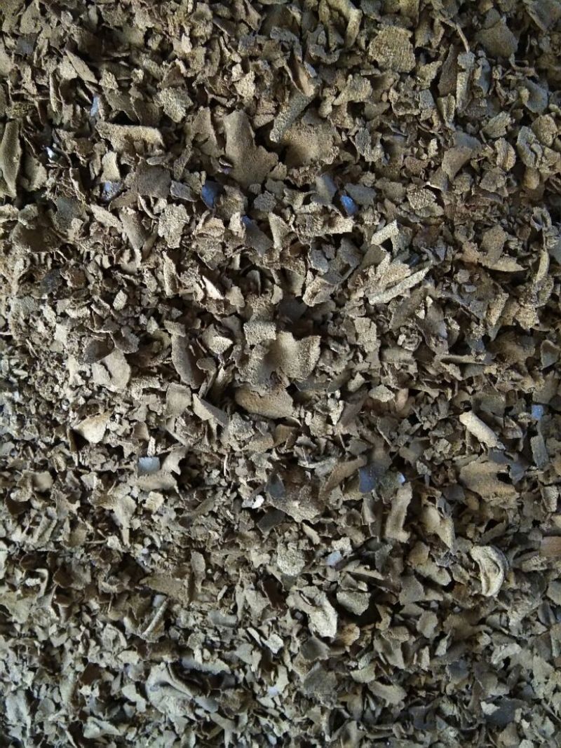 茶粕