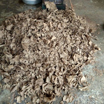 茶粕