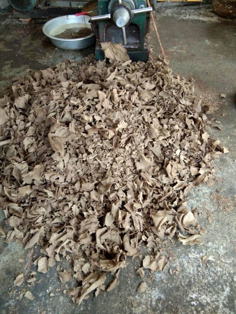 茶粕