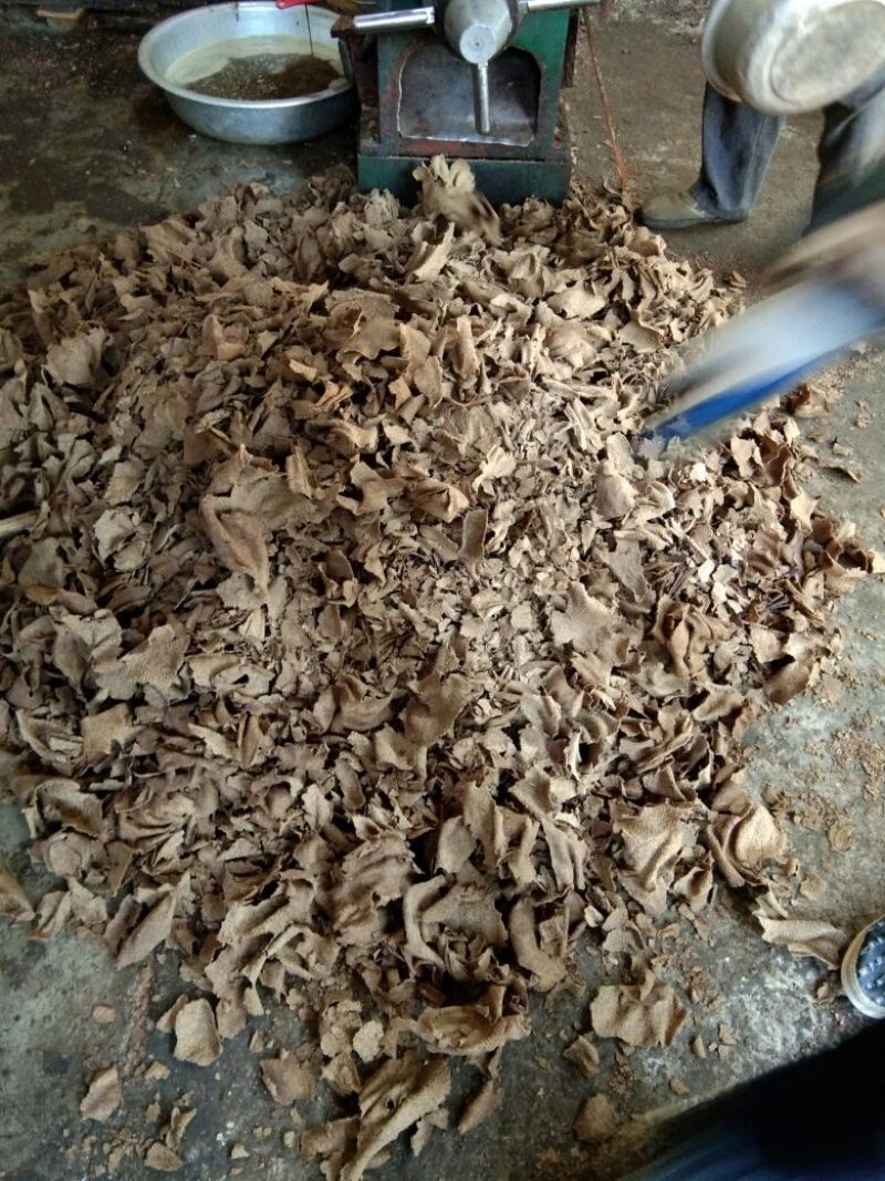 茶粕