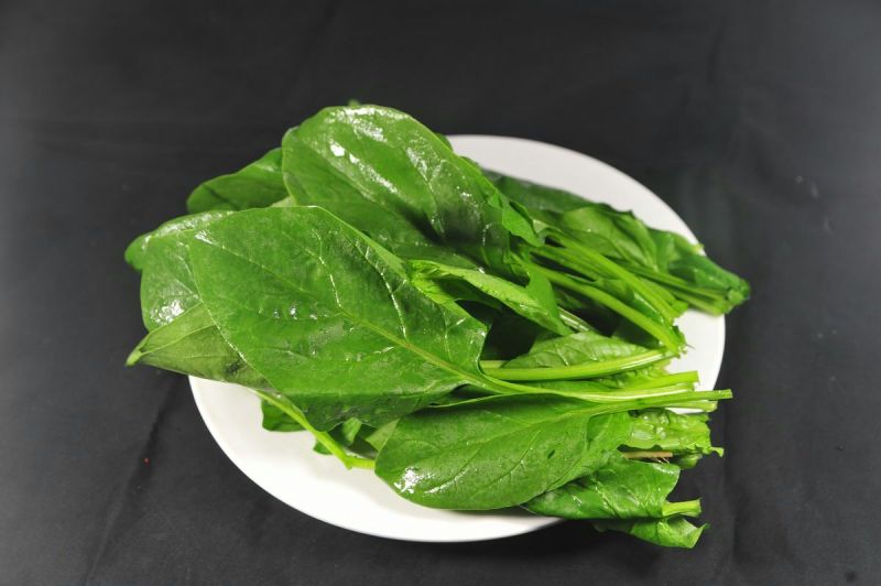 菠菜20~25厘米