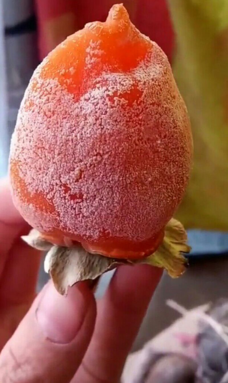 柿饼1~2两