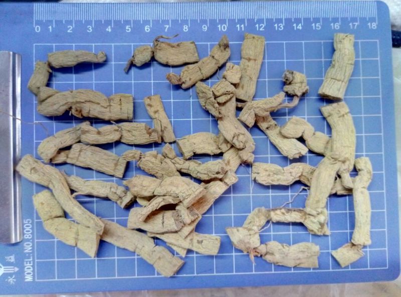 巴戟天2级剪片