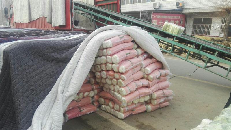 【北京新三号白菜】4~6斤加工各种规格包装，产地直发