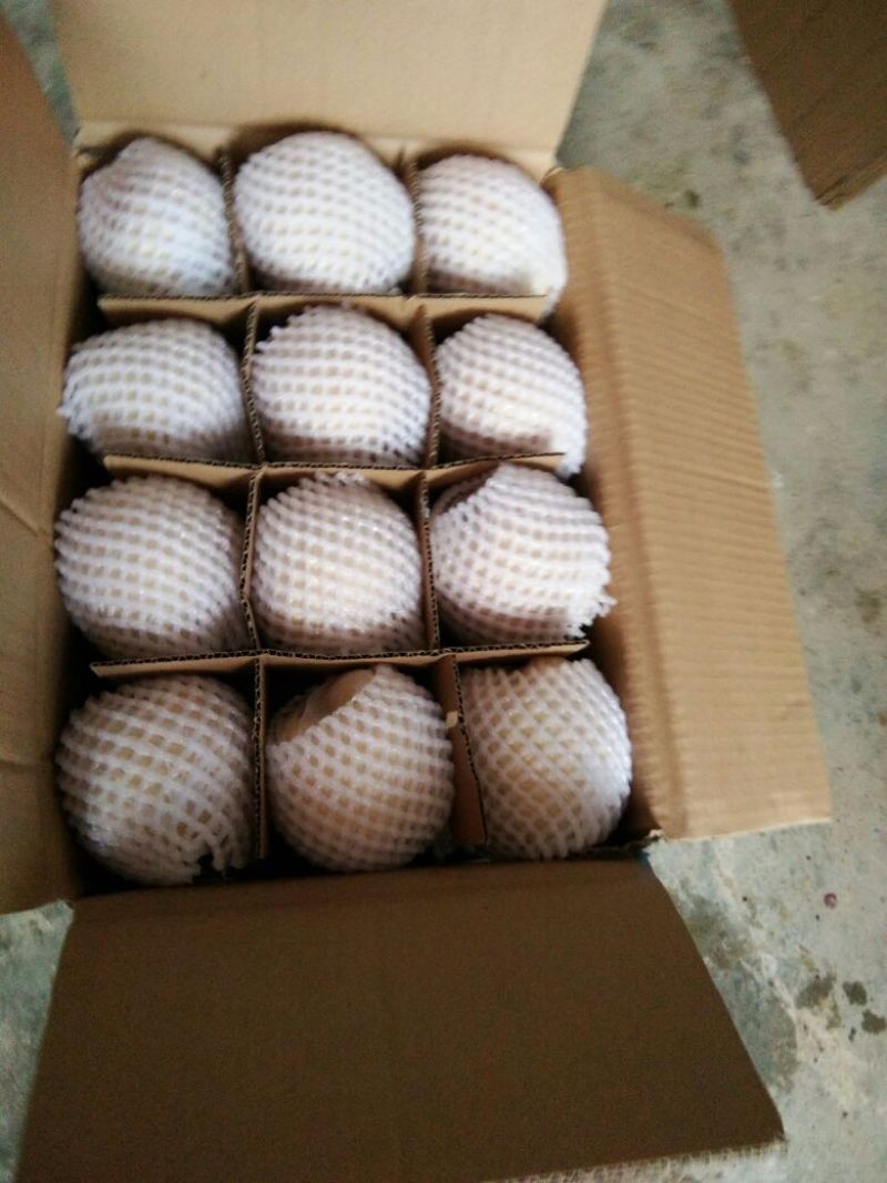 酥梨纸袋350~400g