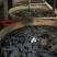 西伯利亚杂交鲟鱼苗全程提供技术指导包回收