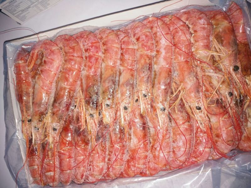 红虾食用冰鲜虾