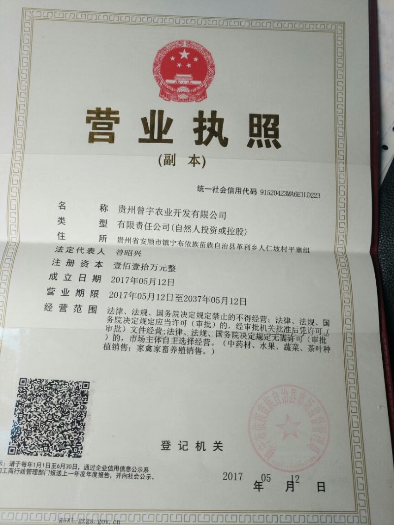 何首乌家种统个