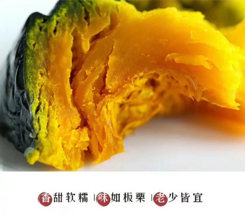 贝贝南瓜7~9两扁圆形