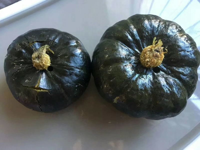 贝贝南瓜7~9两扁圆形