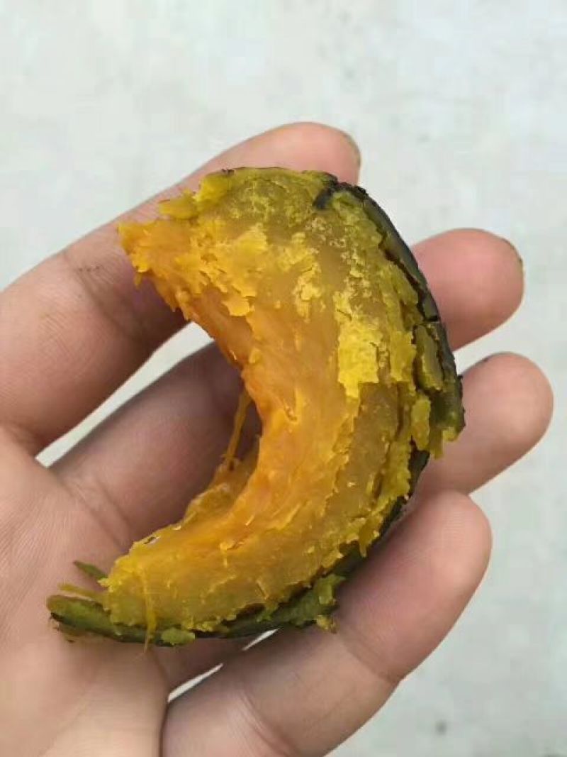 贝贝南瓜7~9两扁圆形