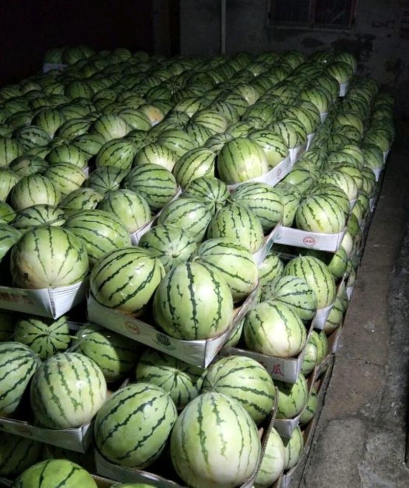 【精选】麒麟瓜，8424西瓜产地供应产地货源保熟保甜